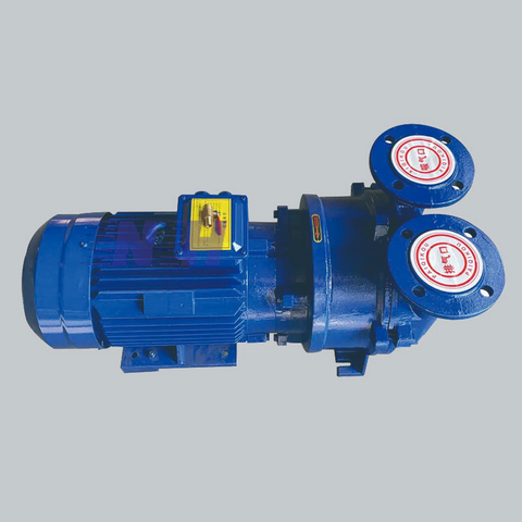 High Quality Vacuum Water Circulation Cast Iron Stainless Steel Vacuum Pump for Paper Making Industrial 